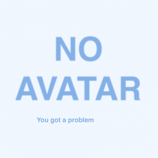 Creation of No avatar: Step 22